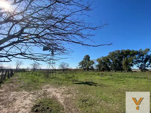Terreno en Venta 100  mts Frente