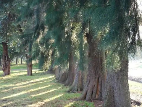 Terreno en Venta en Centro Agricola el Pato, USD 25.000