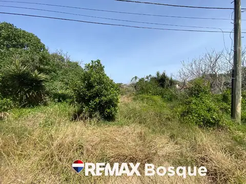 Terreno en Venta en Ostende, USD 39.500