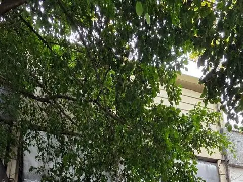 Galpón en Alquiler en Barracas, CABA