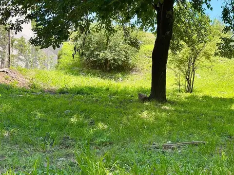 Terreno en Venta de 555,0 m2