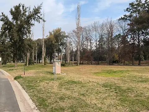 VENTA Lote AZZURRA Tortugas