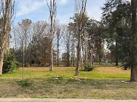 VENTA Lote AZZURRA Tortugas