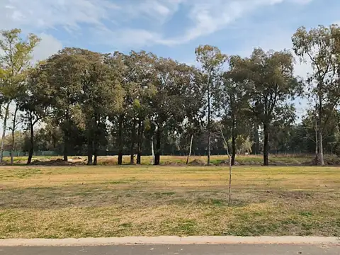Terreno en Venta 22  mts Fondo