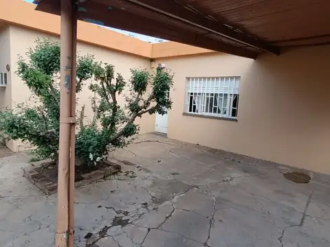 Paulina Ugarte 100