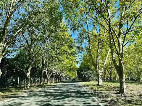 Lote de 1010m² en venta en Los Alcanfores, Pilar