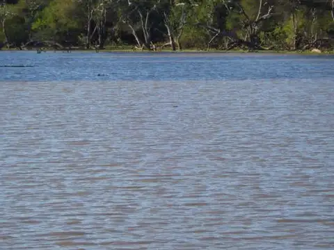 Campo en venta en Coronel Juan Sola SALTA