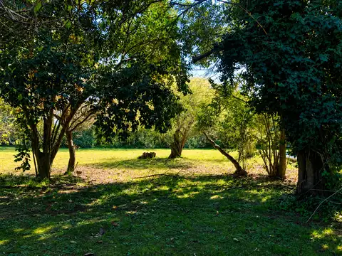 EXCLUSIVA CHACRA DE 5522 M2 SOBRE 5 LOTES VILLARS