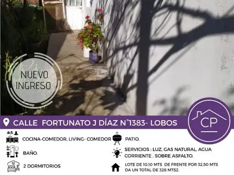 Fortunato J Diaz 1300