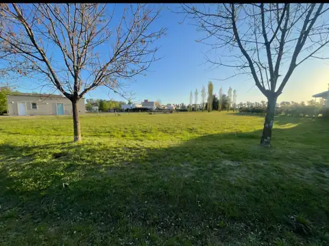 Los Palenques , Manzanares Chico, Pilar