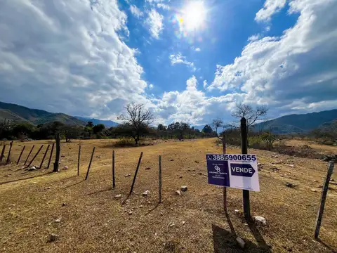 Hectarea en Lozano  H5