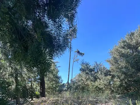Venta de terreno en Pinar Norte 600 mts2