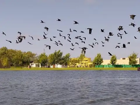 Terreno en Venta en Ingeniero Maschwitz, USD 19.000