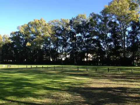 San Pablo Chico 100