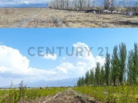 Campo en venta