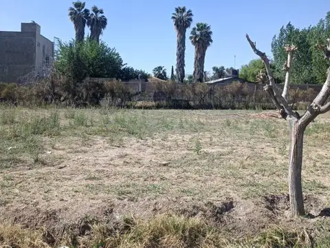 Severo del Castillo 5000, Piso 0