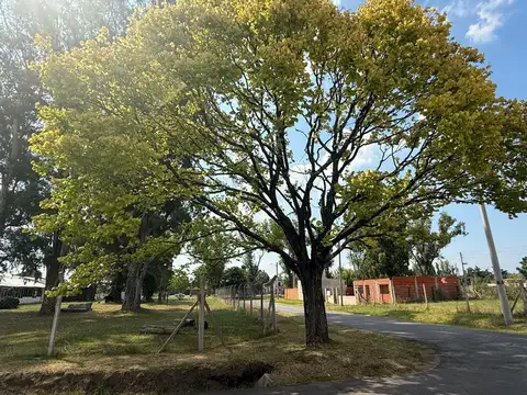 VENTA DE TERRENO BARRIO LA FRONDA GAS NATURAL ASFALTO SIN EXPENSAS PERMUTA POR VEHICULO