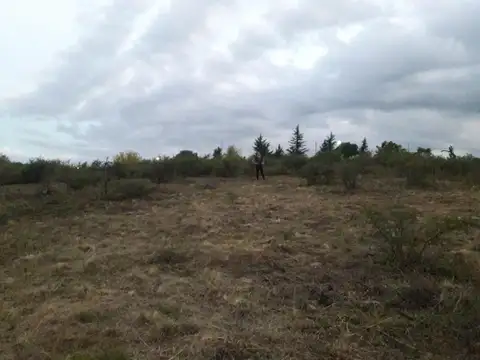 Terreno en Venta de 1300,0 m2