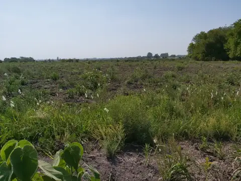 Terreno en Venta en Concepcion Del Uruguay, USD 75.000