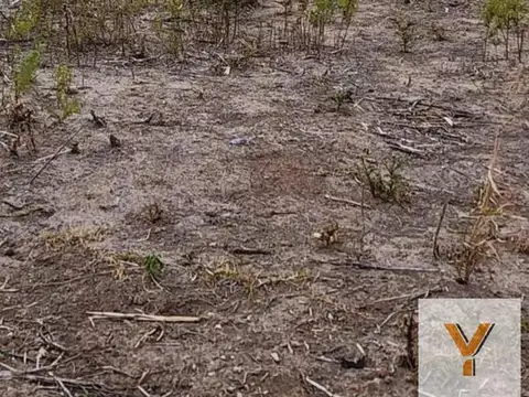Terreno en venta - 656Mts2 - Village Plaza, Pueblo Vista