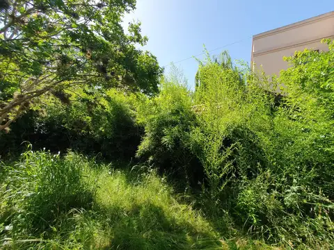 Terreno - Martinez. 200m2, a 2 cuadras de Av. Santa Fe