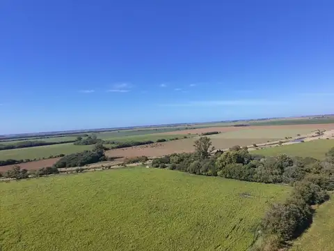 Campo en Venta de 49  ha