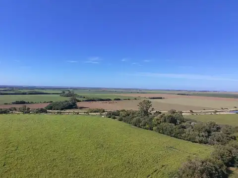 Camino De Santos Vega