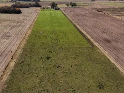Campo en Venta de 5  ha