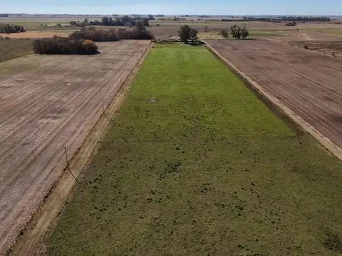 Campo en Venta Agrícola