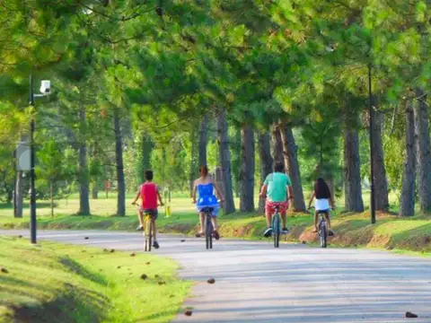 Ruta 2 km 65 , Piso 0