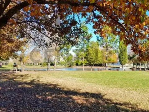 Terreno en Venta 31  mts Frente