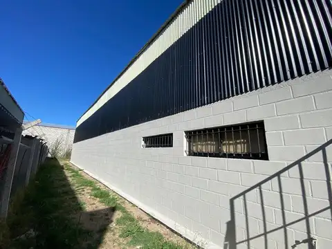 GAONA 100