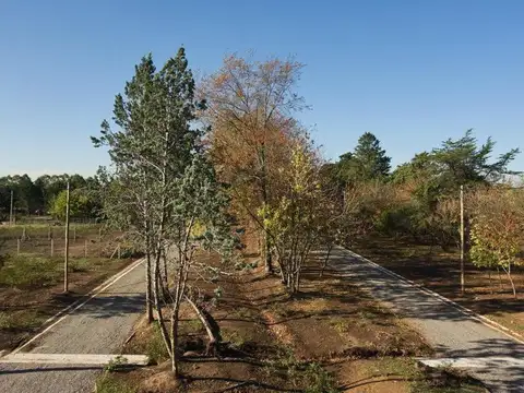 LOTE EN VENTA - SAN JERONIMO-S/EXPENSAS. ESCOBAR