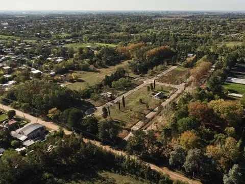 Leandro N. Alem 1000