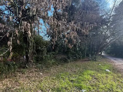 TERRENO A 200 MTS DE LA RUTA