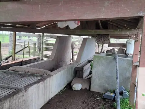 Paso De Los Libres, Corrientes