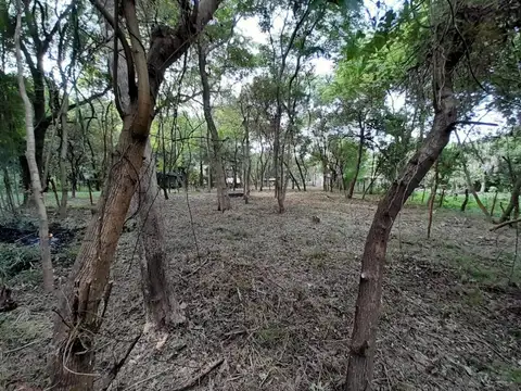 Terreno en Venta, FOT 4