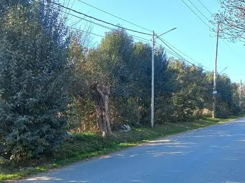 Campo en Venta Agrícola