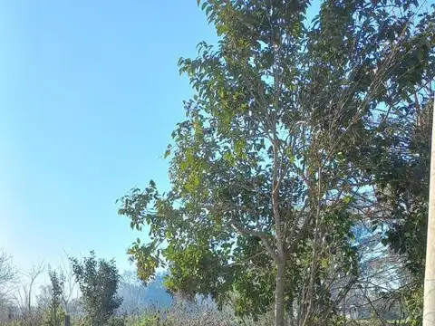Campo en Venta Agrícola