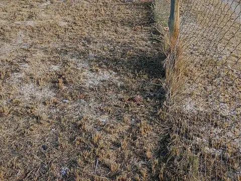 Terreno en Venta de 410,0 m2