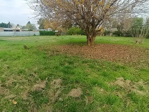 Terreno en Venta de 2000,0 m2