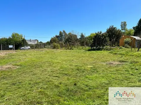 Terreno / Lote en venta de 1620m2 ubicado en Alejandro Petión, Cañuelas