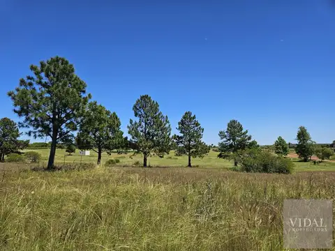 Terreno - El golf