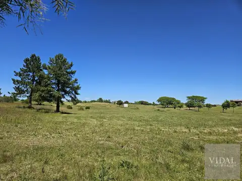 Lote en venta en Carmelo Golf al 100