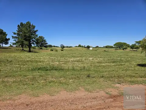 Terreno en Venta en Carmelo, USD 36.000