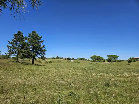 Terreno en Venta en Carmelo, USD 46.000