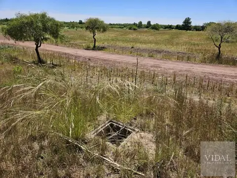 Terreno en Venta en Carmelo, USD 36.000
