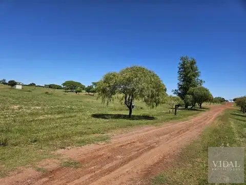 Terreno en Venta de 4000,0 m2