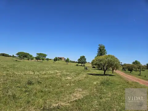 Terreno en Venta de 4000,0 m2