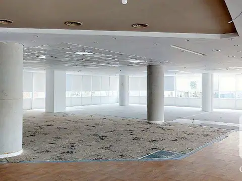 Oficina en Alquiler con 7 cocheras